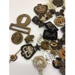 Large collection of military cap badges badges etc