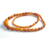 Egg yolk butterscotch amber bead necklace largest bead measures approx28mm by 21mm weight 61g