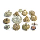 Selection of military cap badges