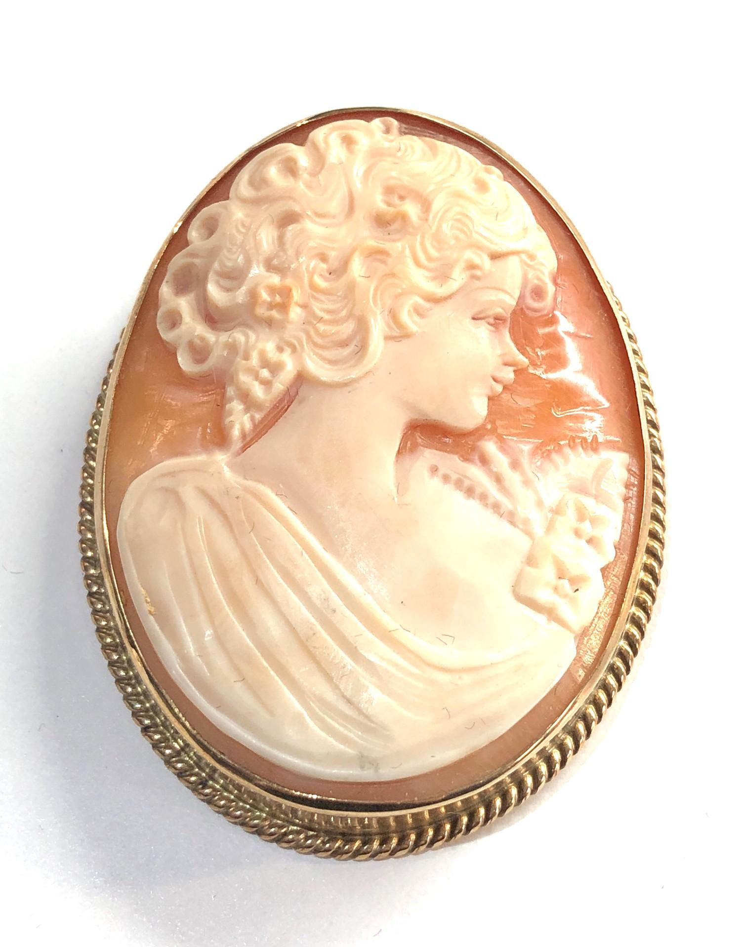Large gold framed cameo brooch measures approx53mm by 43mm total weight 16g