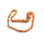 egg yolk amber necklace 11g