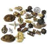 Selection of military cap badges etc