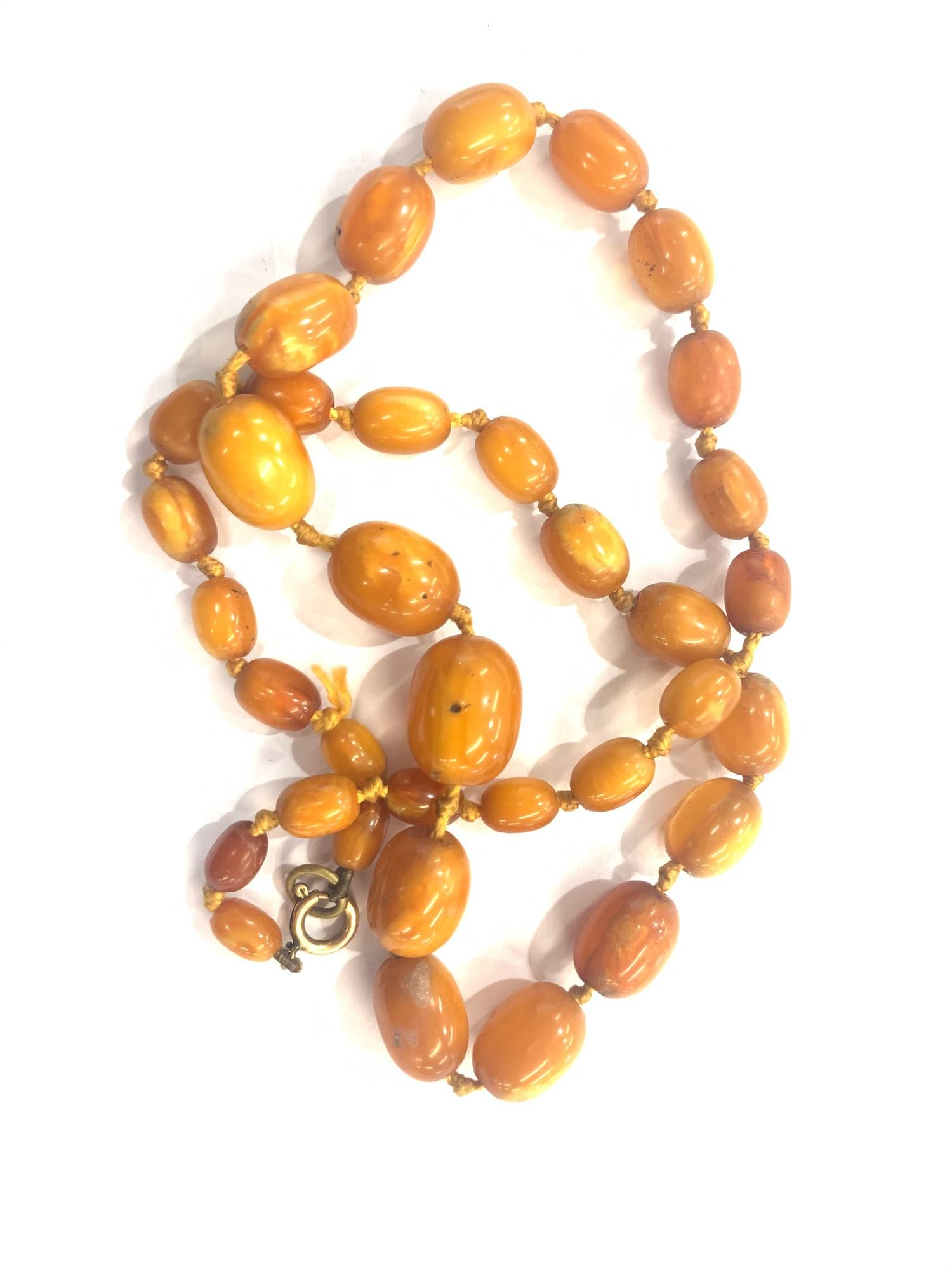 Egg yolk amber bead necklace weight 20g - Image 2 of 2