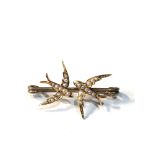 Victorian high carat gold seed-pearl bird brooch measures approx 2.8cm wide by2cm front birds xrt