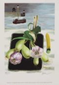 *Mary Fedden RA (1915-2012)