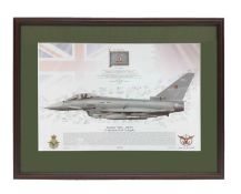 Typhoon, signed by 12 Squadron, RAF Coninsby