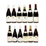 Assorted Red Burgundy
