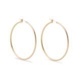 A pair of hoop earrings.