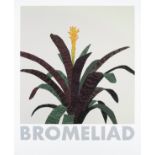 Jonas Wood (American 1977-), 'Bromeliad', 2020