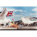 Martin Parr (British 1952-), 'West Bay (Seagulls Eating Chips)', 1996