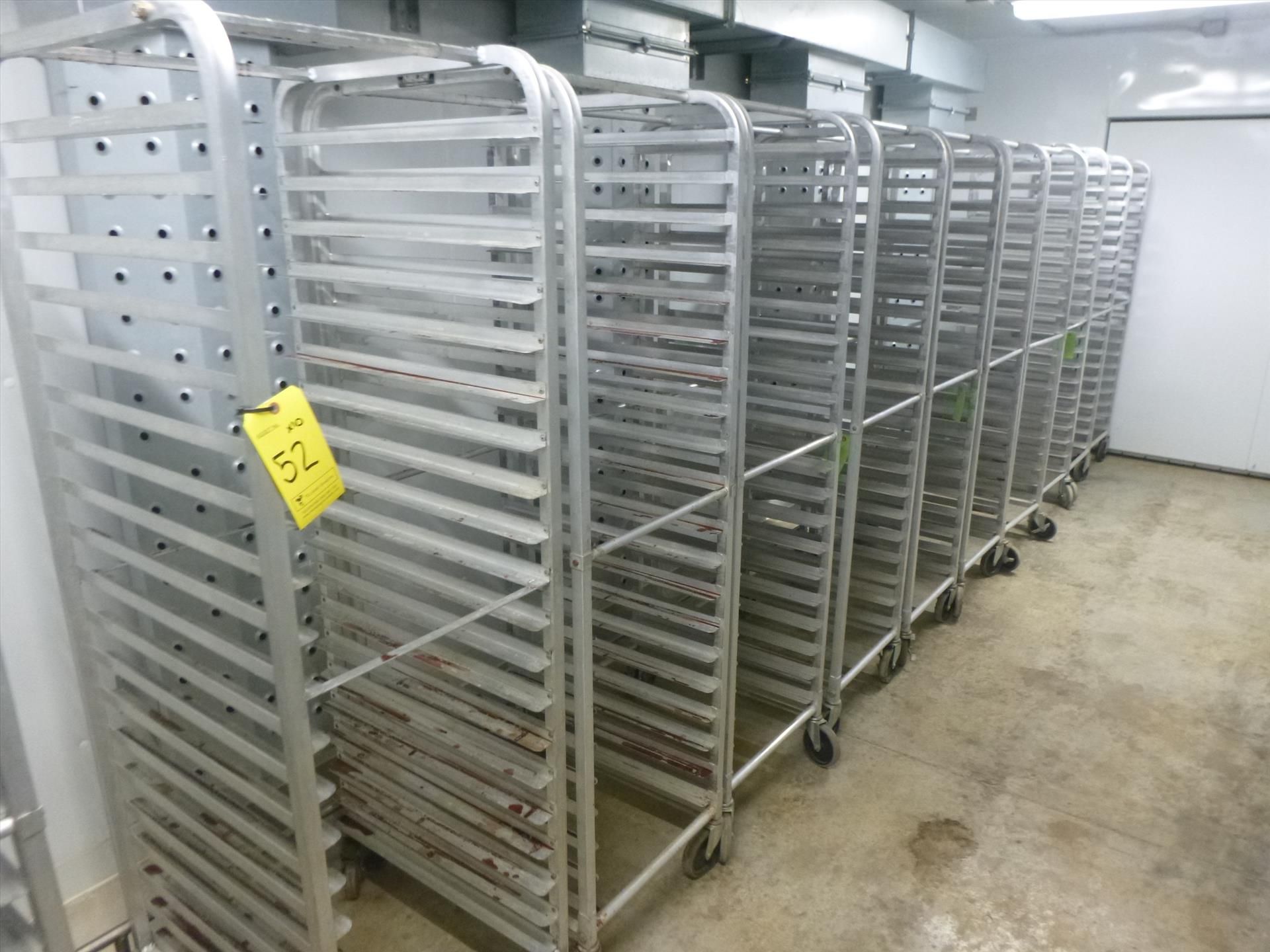 (10) aluminum transit racks