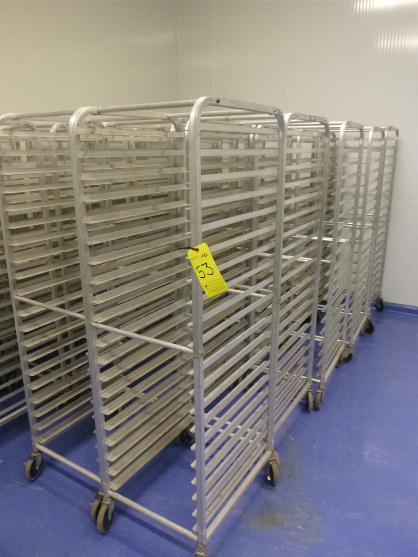 (10) aluminum transit racks