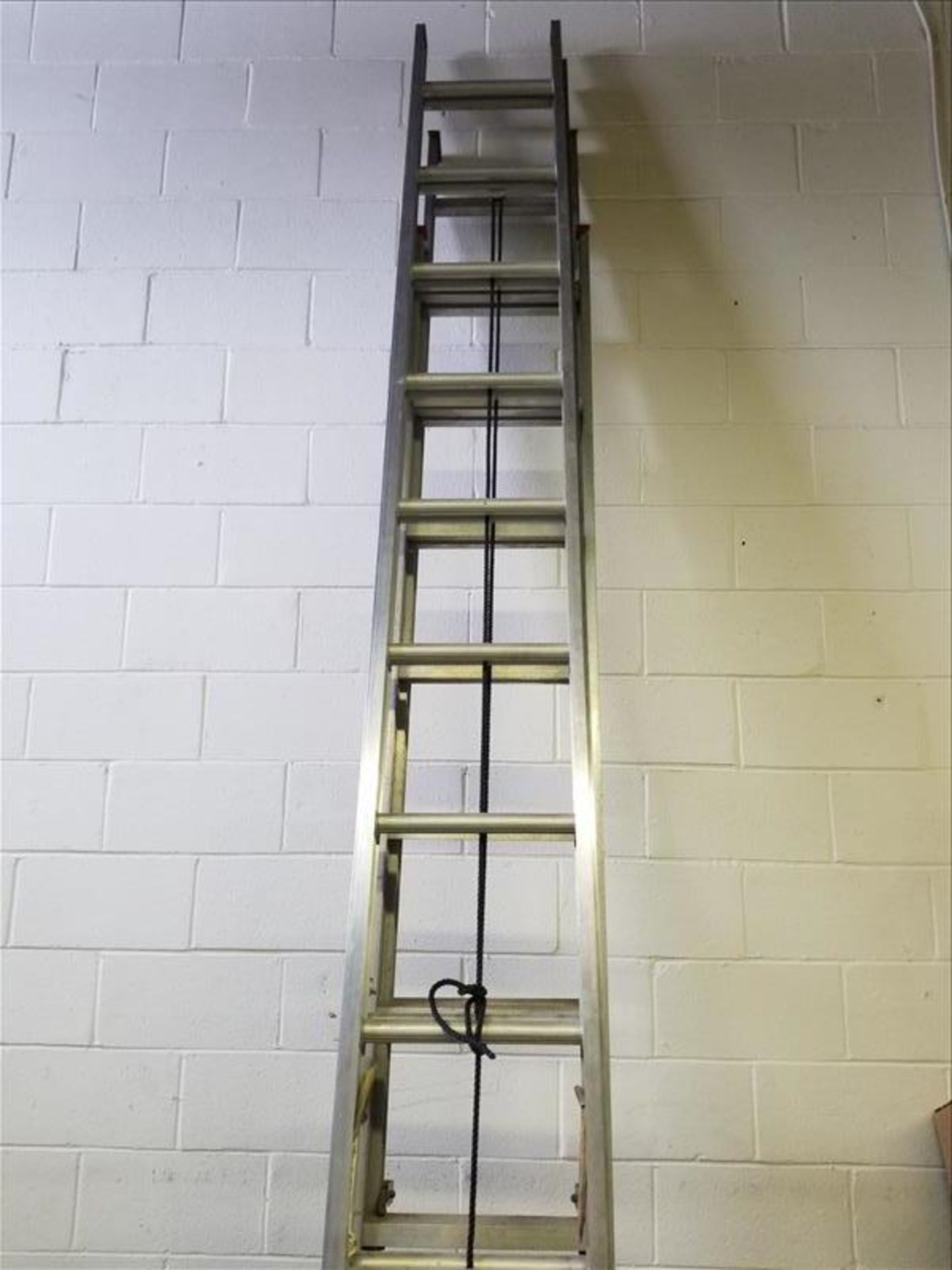 Extension Ladder