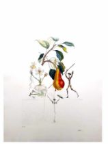 Salvador Dali - Flordali - Poire Don Quixote, 1969Eau-forte en couleurs sur vélin de RivesExtraite