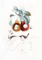 Salvador Dali - Flordali - Fruits Troués, 1969Eau-forte en couleurs sur vélin de RivesExtraite du