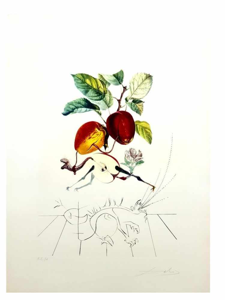 Salvador Dali - Flordali - Pomme Dragon, 1969