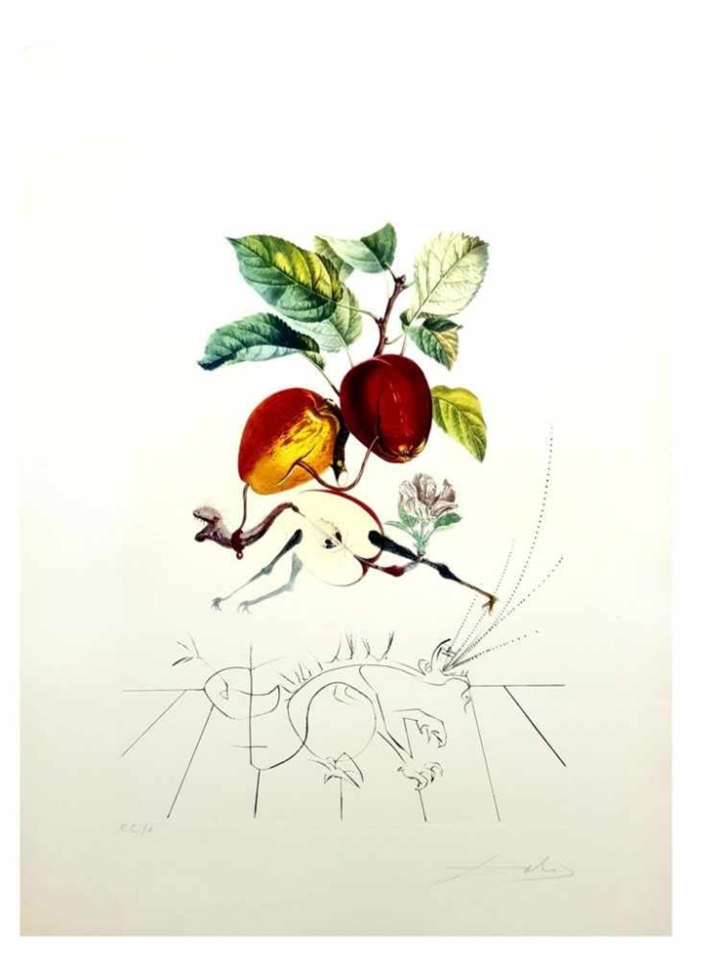 Salvador Dali - Flordali - Pomme Dragon, 1969