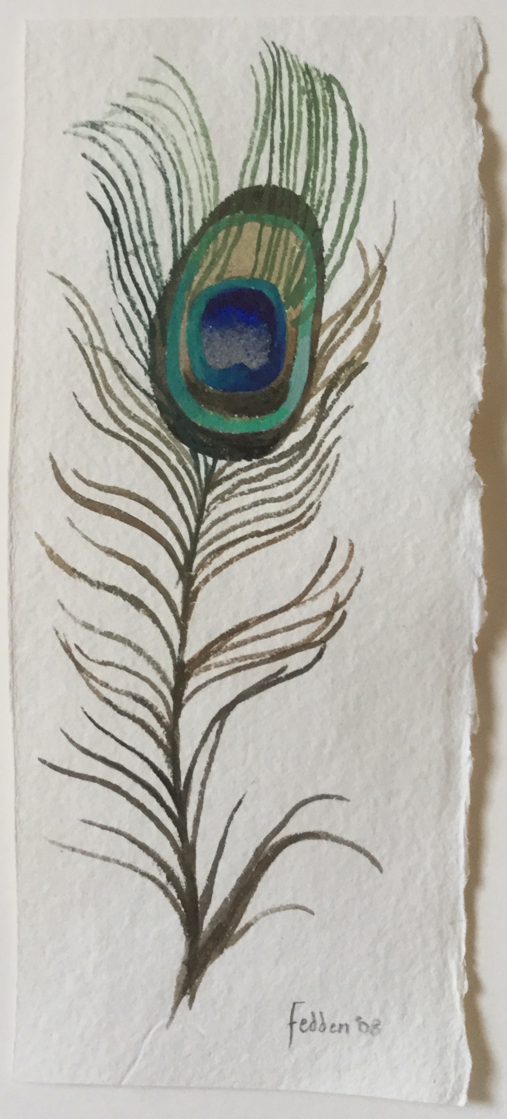 Mary Fedden, RA (1915-2012) Peacock Feather Watercolour Signed and dated, '08, 23.5 by 10 cm