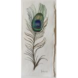 Mary Fedden, RA (1915-2012) Peacock Feather Watercolour Signed and dated, '08, 23.5 by 10 cm