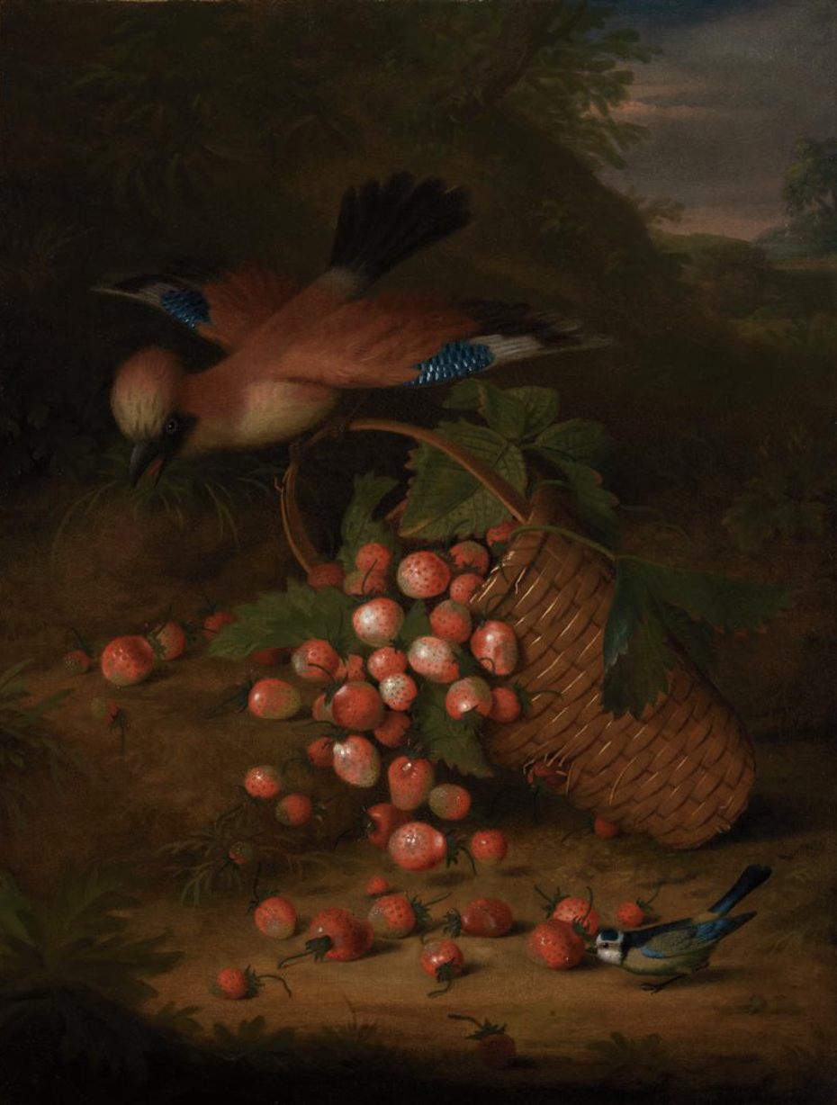 Tobias Stranover (1684 - after 1731) A jay sitting on the handle of a basket of strawberries