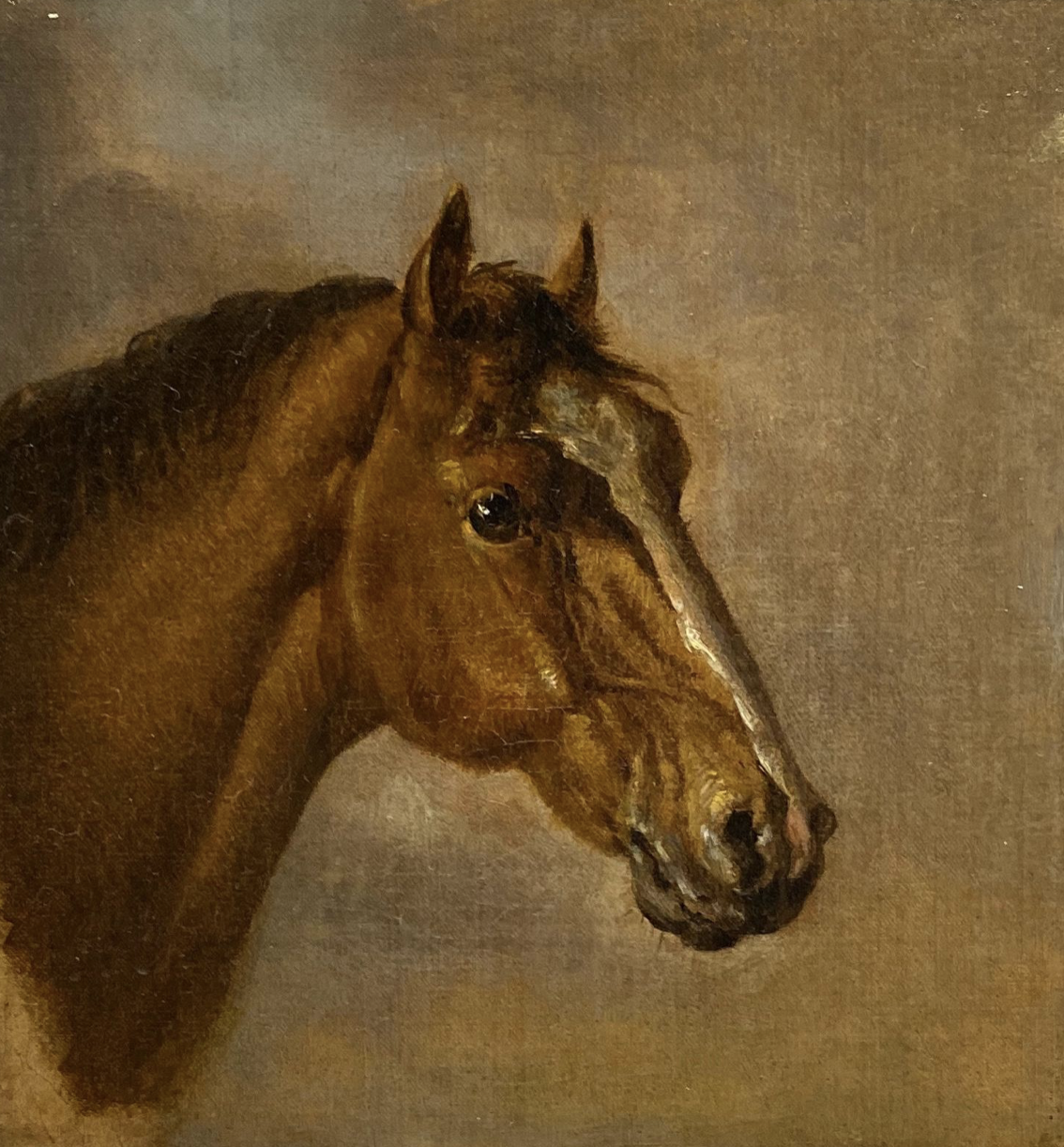 Ben Marshall (1768-1835) Head of a bay thoroughbred