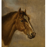 Ben Marshall (1768-1835) Head of a bay thoroughbred