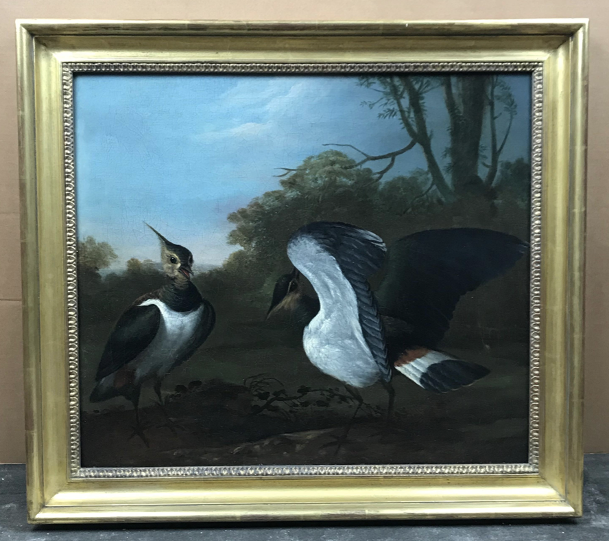 Charles Collins (1680-1744) Lapwings in a landscape - Image 2 of 4