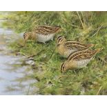 Rodger McPhail (b.1953), Three Snipe