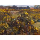 Sir Alfred James Munnings PRA (1878-1959) Flaming Gorse - mid Afternoon