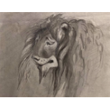 William Lock the Younger (1767-1847) Study of a lion