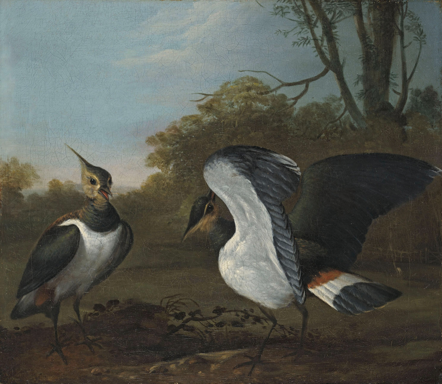 Charles Collins (1680-1744) Lapwings in a landscape