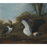 Charles Collins (1680-1744) Lapwings in a landscape