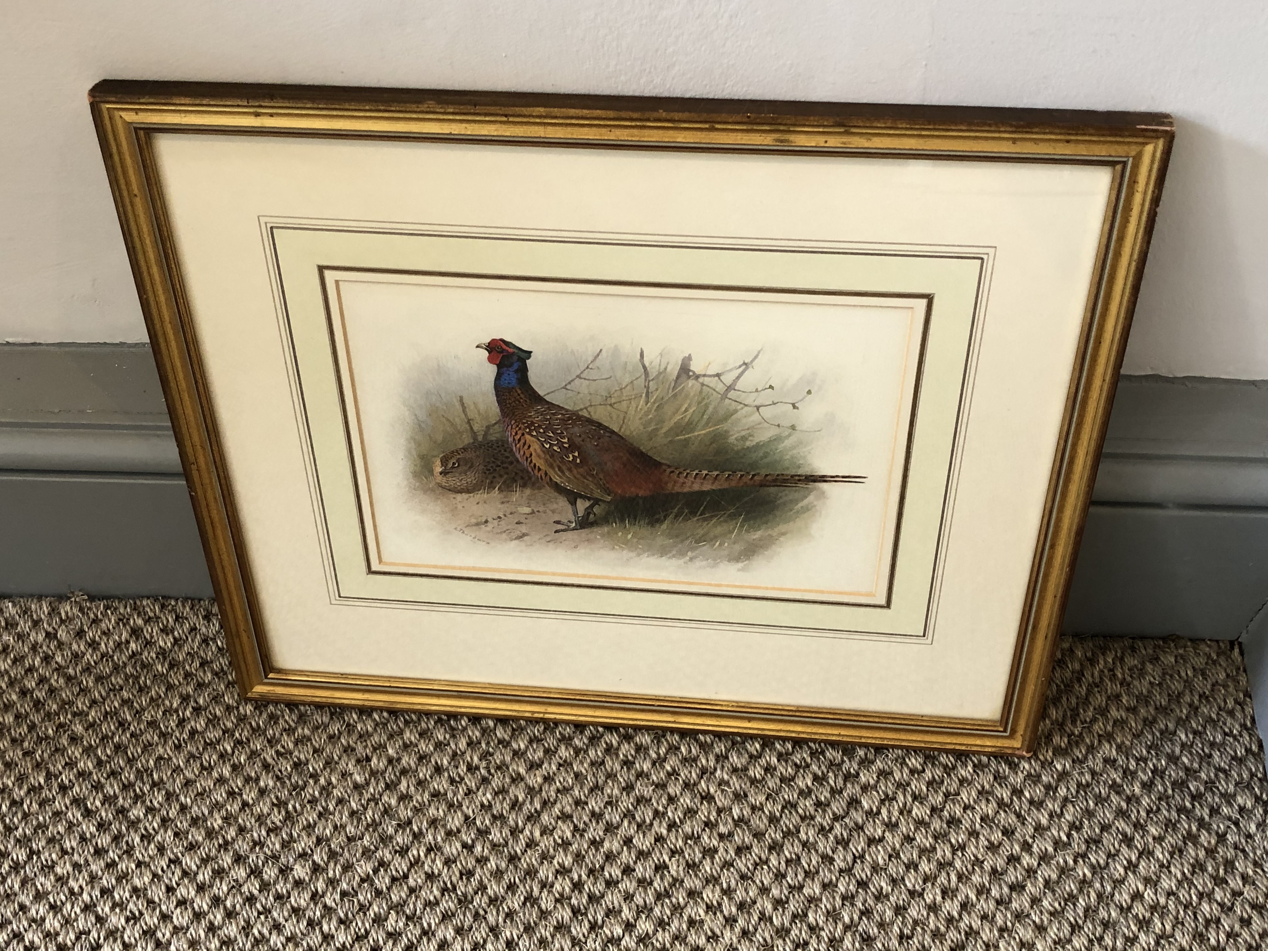 Archibald Thorburn (1860-1935), Cock and hen Pheasant - Image 2 of 3