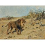 Arthur Wardle, R.I., R.B.C. (1864-1949), Lion