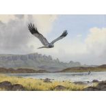 John Cyril Harrison (1898-1985) Hen harrier and Snipe