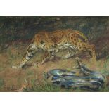 Arthur Wardle, R.I., R.B.C. (1864-1949), Leopard and snake