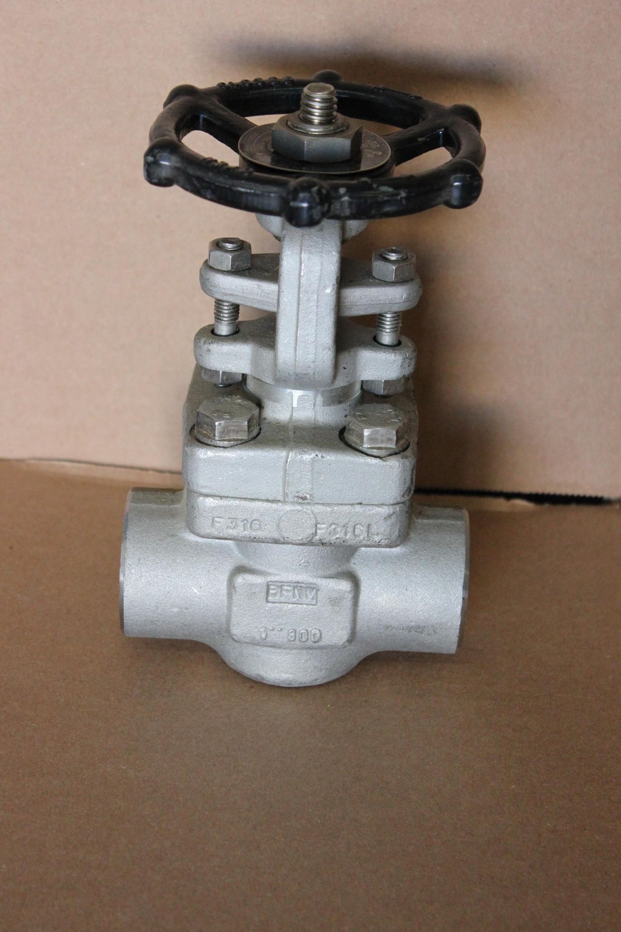 NEW DSI STAINLESS STEEL 1" GATE VALVE