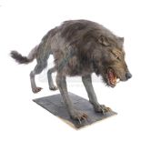 Lot #8 - 300 (2006) - Wolf Stand-In Puppet