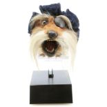 Lot #436 - LABYRINTH (1986) - Sir Didymus Puppet Head