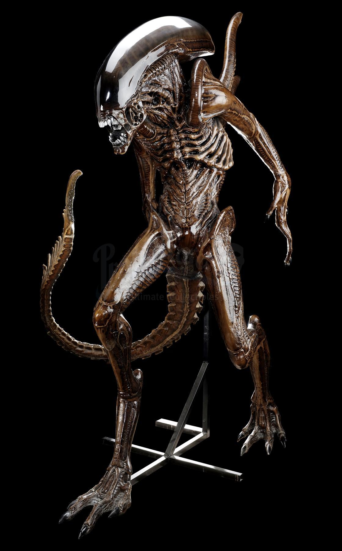Lot #41 - ALIEN: RESURRECTION (1997) - Xenomorph Alien Display with Tail - Image 3 of 3