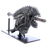 ALIENS VS. PREDATOR: REQUIEM (2007) - Xenomorph Warrior Insert Head with Display Stand