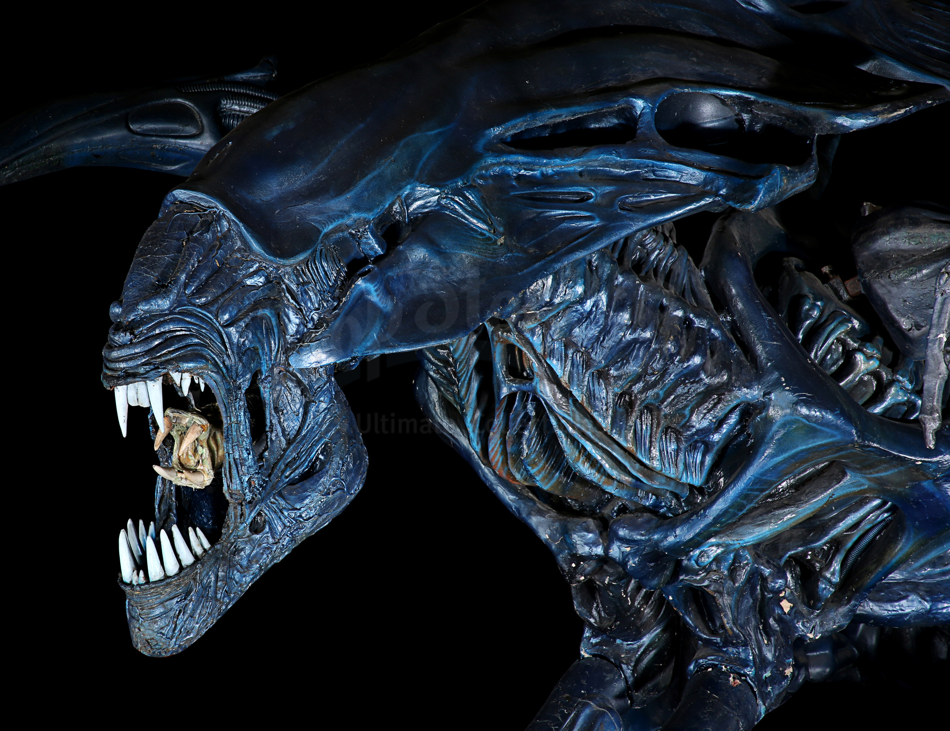 ALIENS (1986) - Full-size Promotional Alien Queen - Image 20 of 38