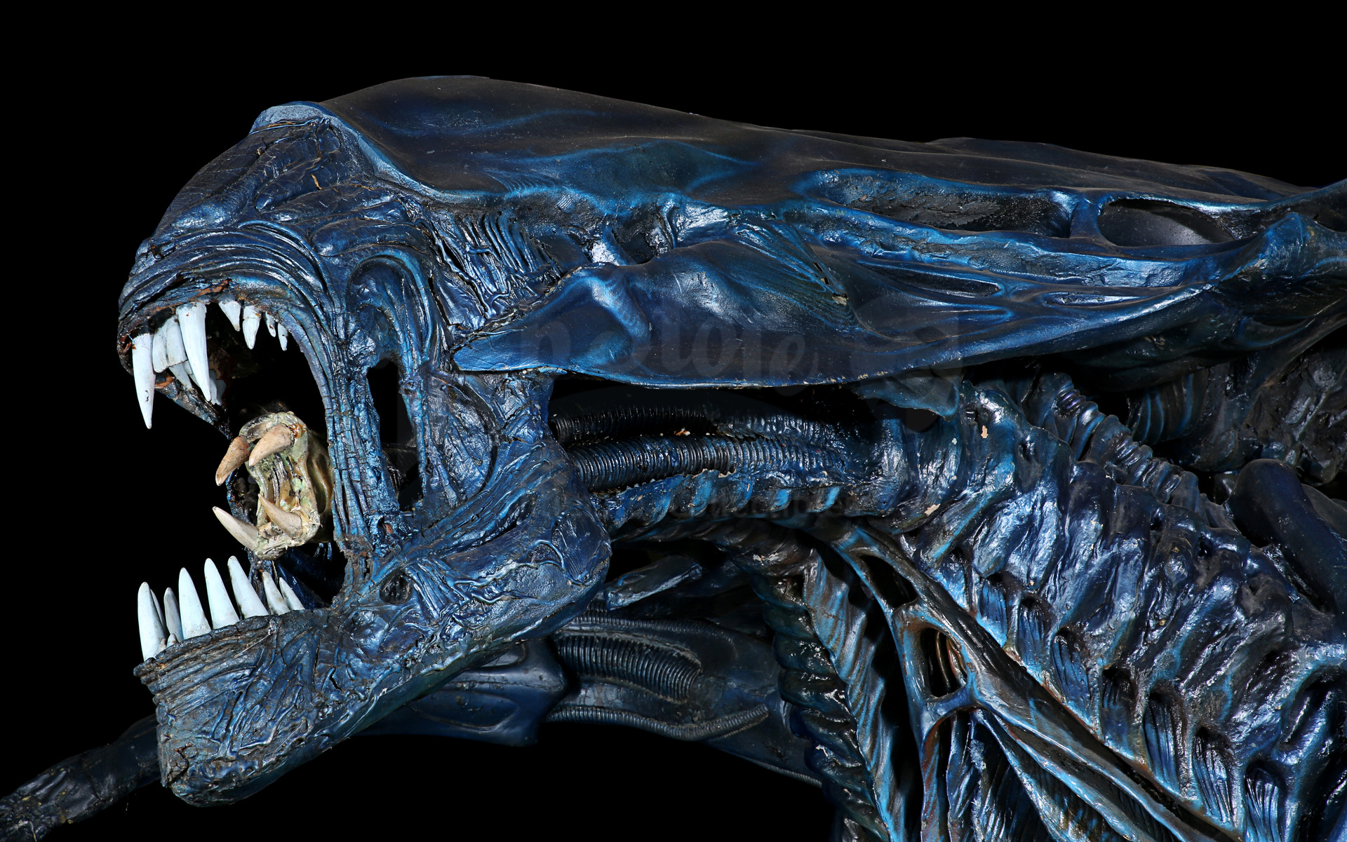 ALIENS (1986) - Full-size Promotional Alien Queen - Image 18 of 38