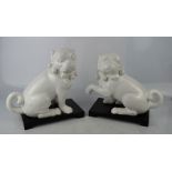 A pair of modern white ceramic model pug dogs raised on black bases, 23½cm high.