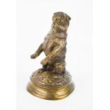 A bronze pug dog, raised on hind legs, after Nene, 13½cm high.