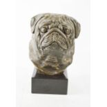 A limited edition bronzed model pug dog, 59/500, raised on a plinth, 19½cm high.