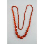 A cloudy amber necklace composed of graduated beads, 61.3g.