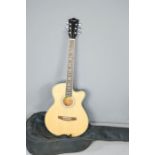 An acoustic guitar with soft case.