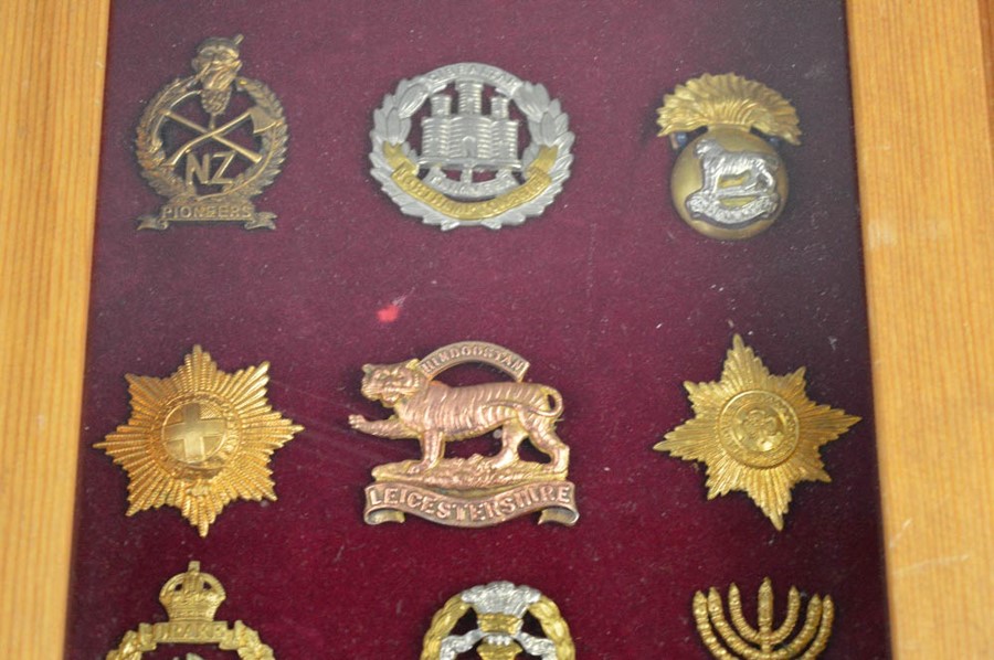 Two framed sets of cap badges. - Image 3 of 7