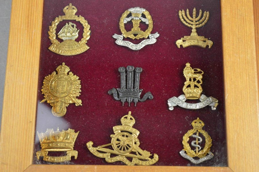 Two framed sets of cap badges. - Image 4 of 7